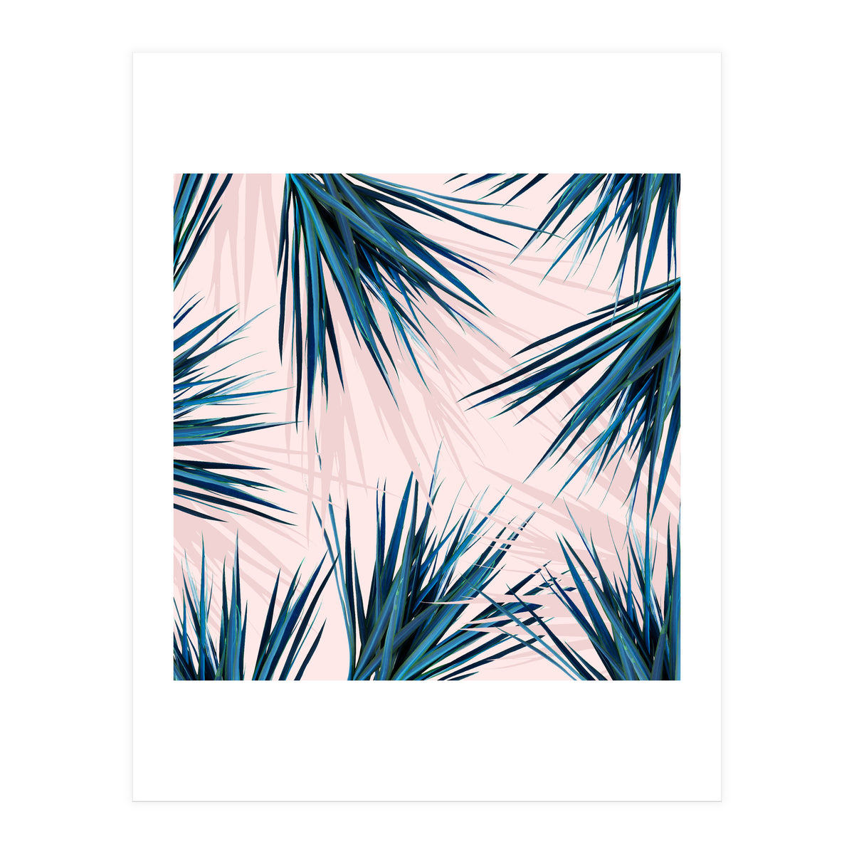 Pointy Palm (Print Only)