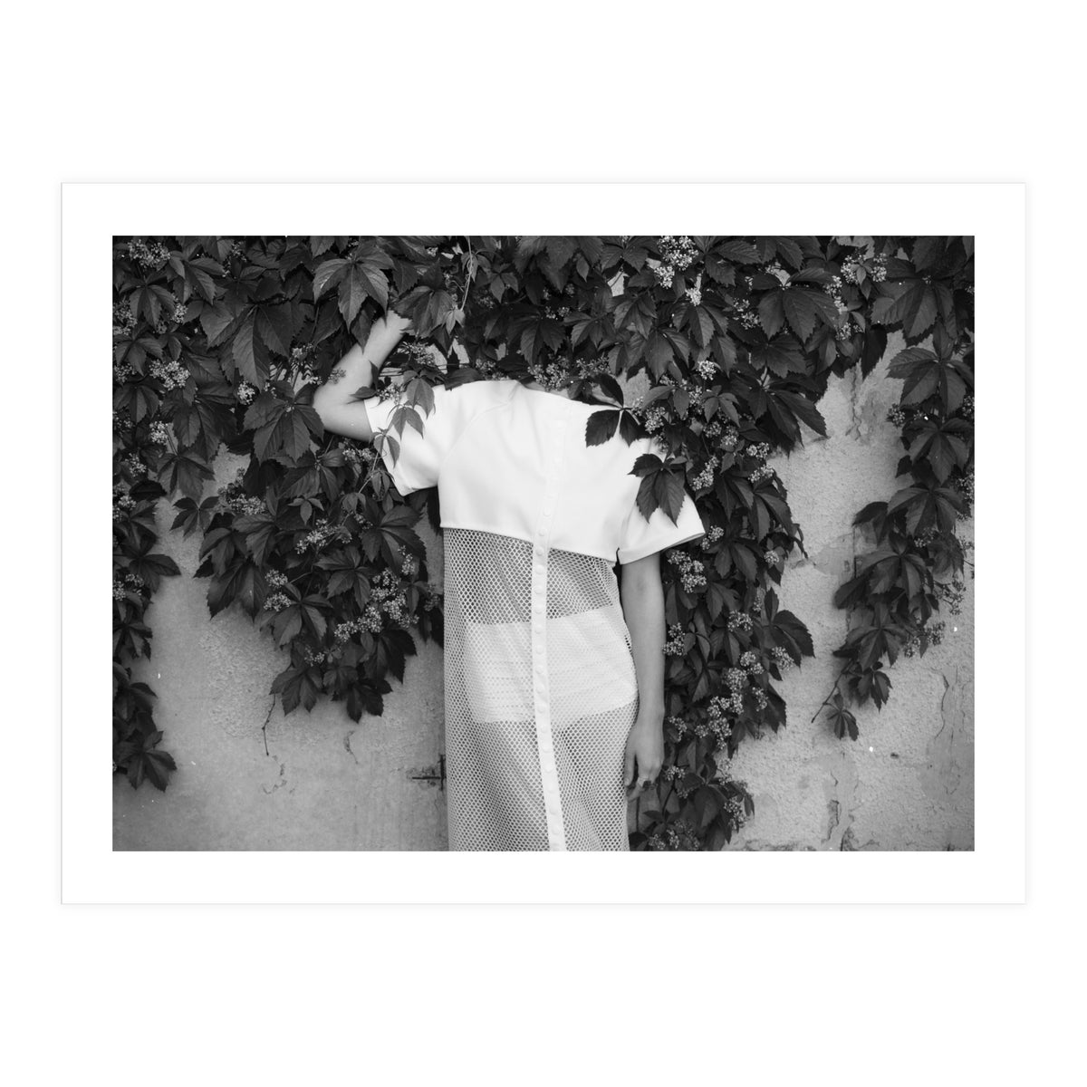 Alien Abduction (Print Only)