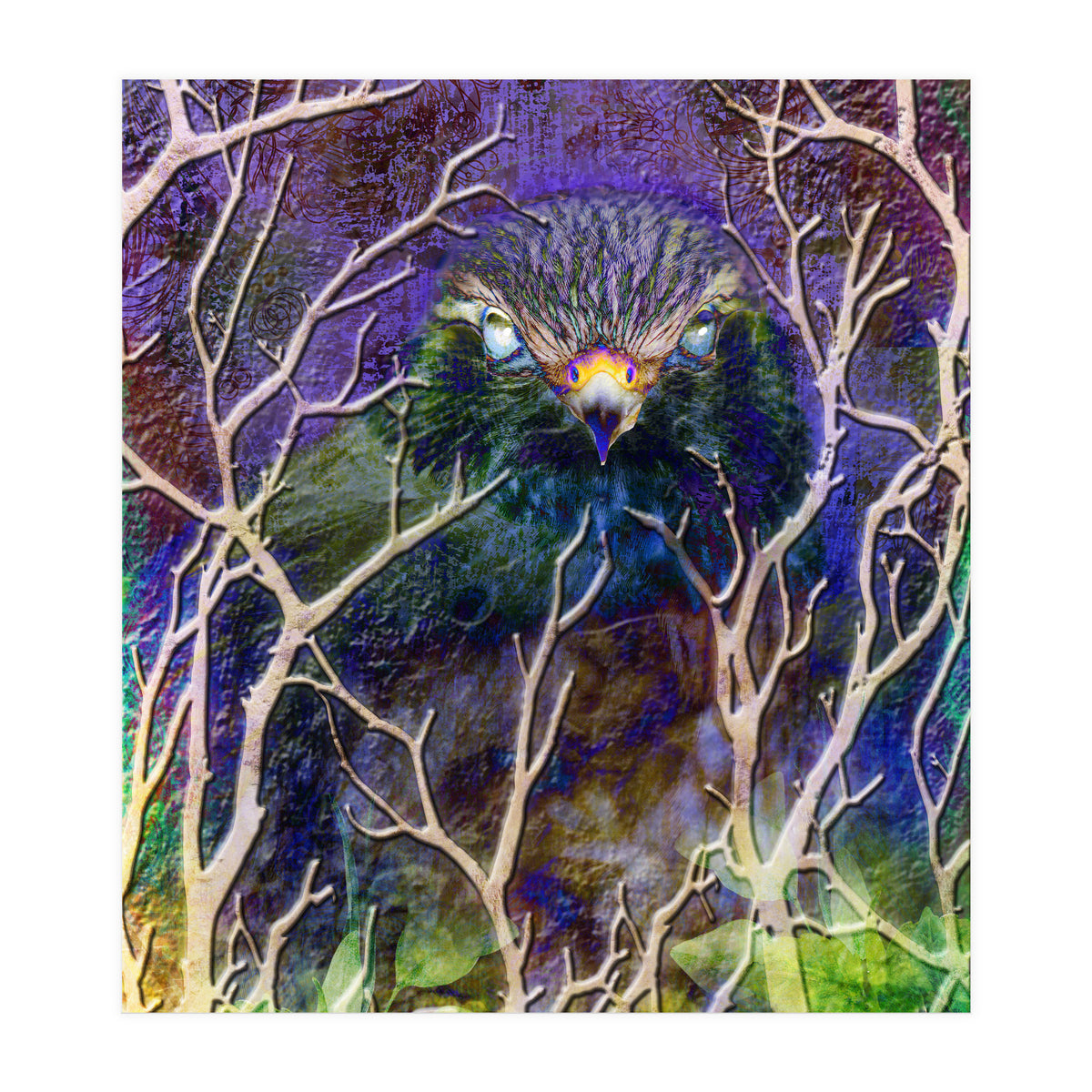 Dead Of Night (Print Only)