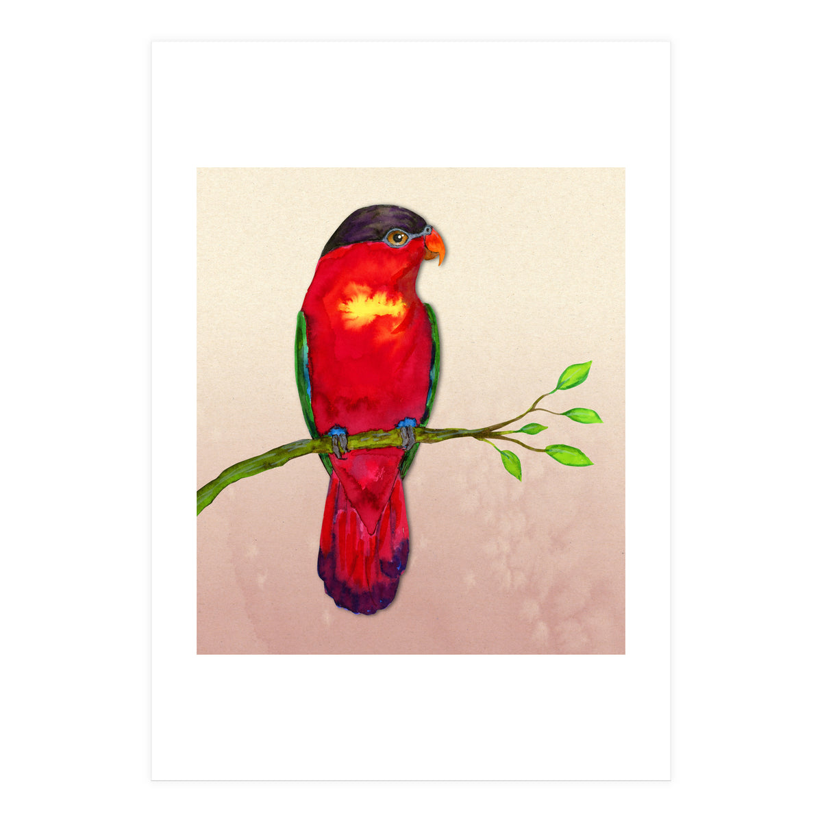 Purple-naped lory (Print Only)