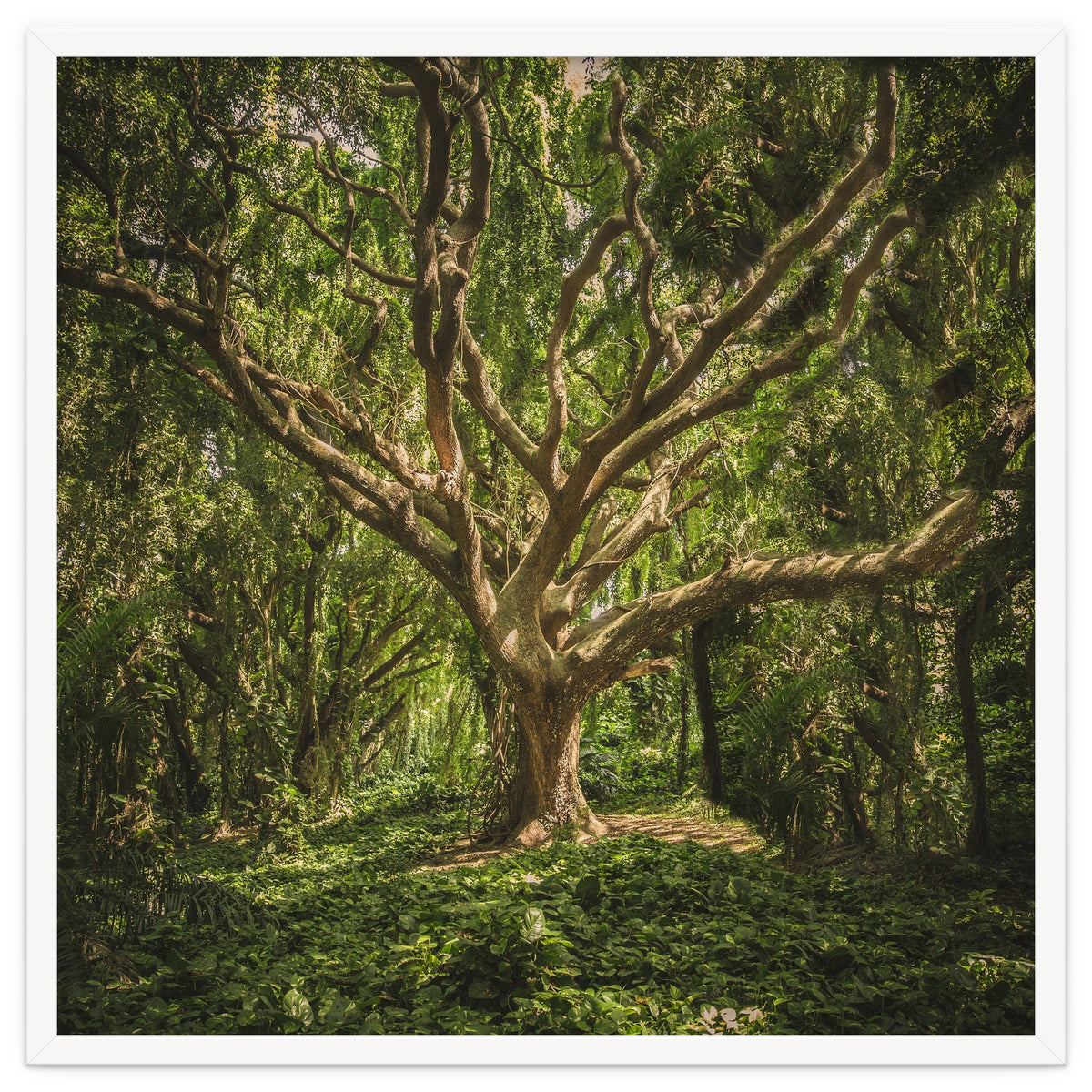 Spirits inside the wood