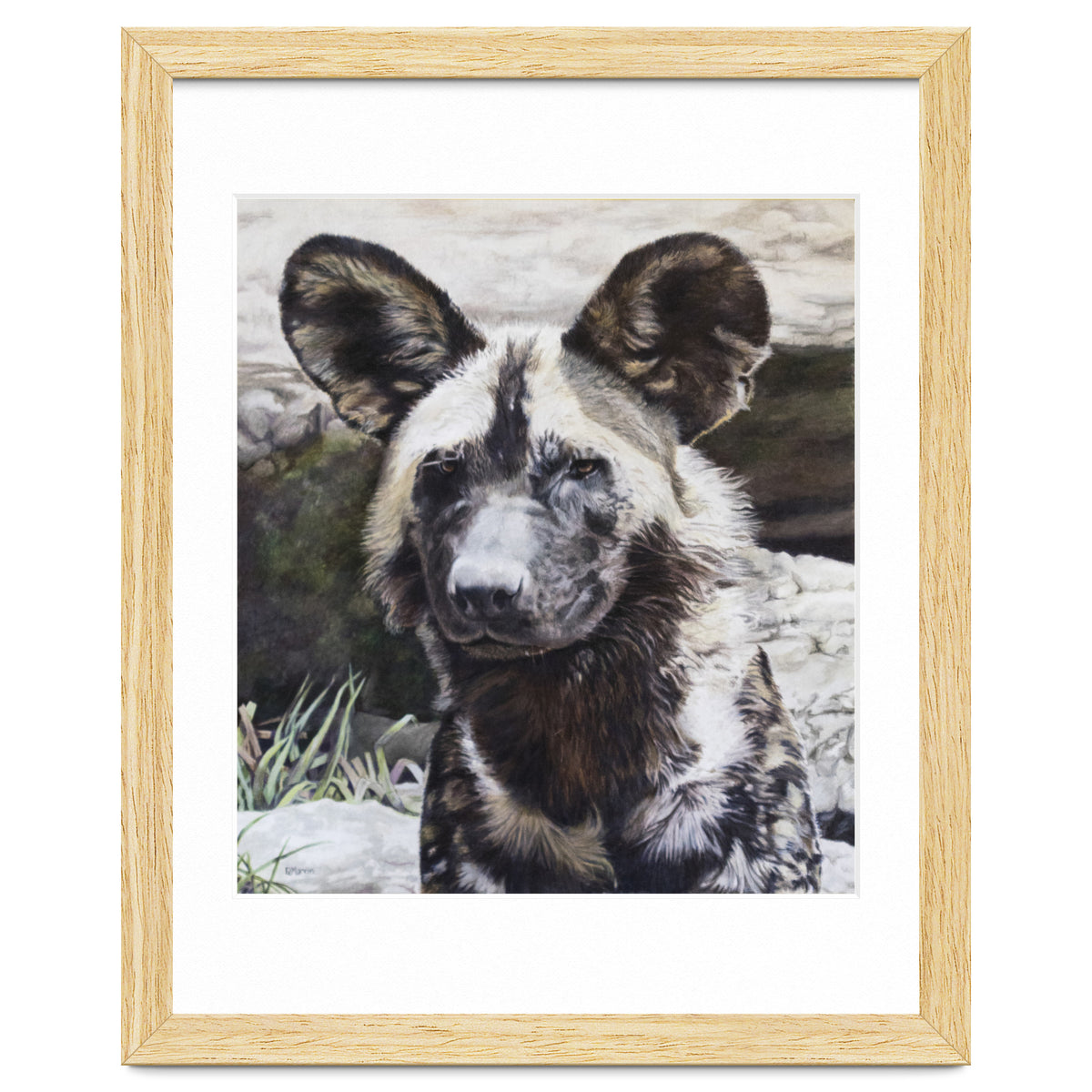 African Painted Dog II