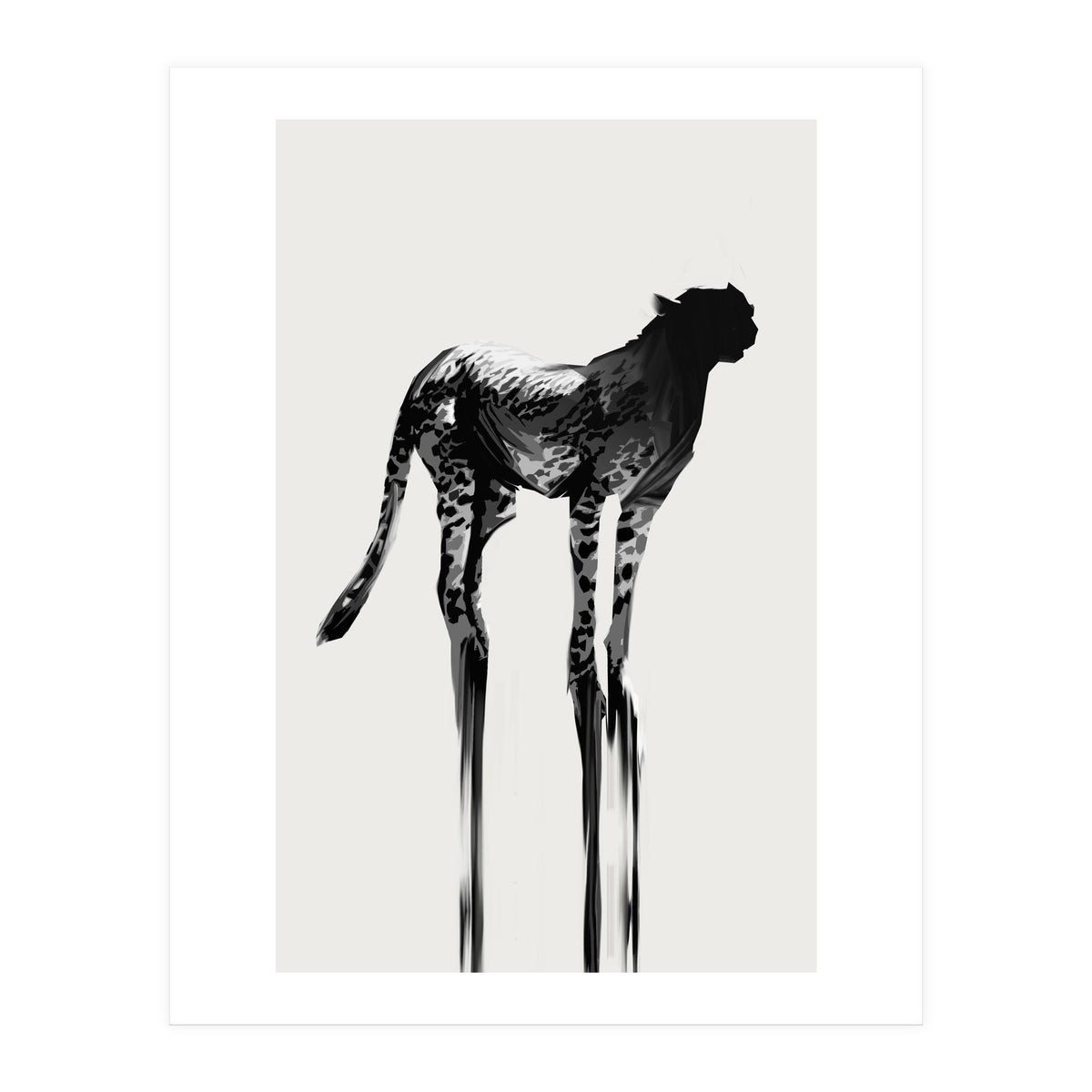 Cheetah  (Print Only)