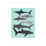 Sharks (Print Only) thumbnail