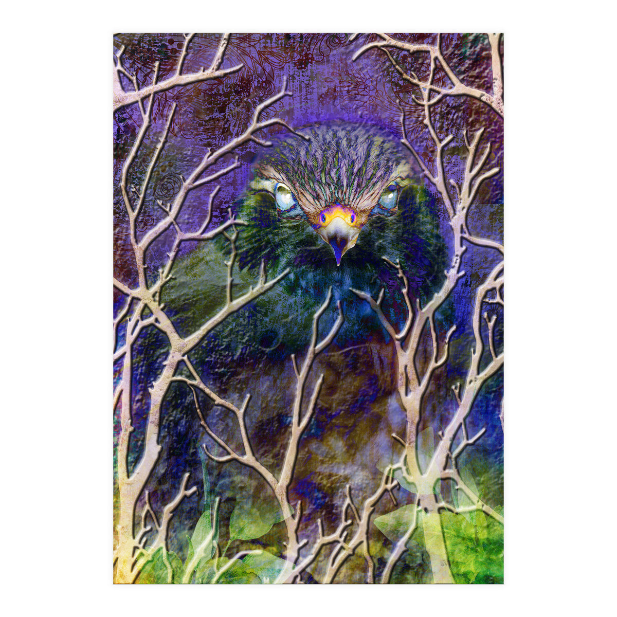 Dead Of Night (Print Only)