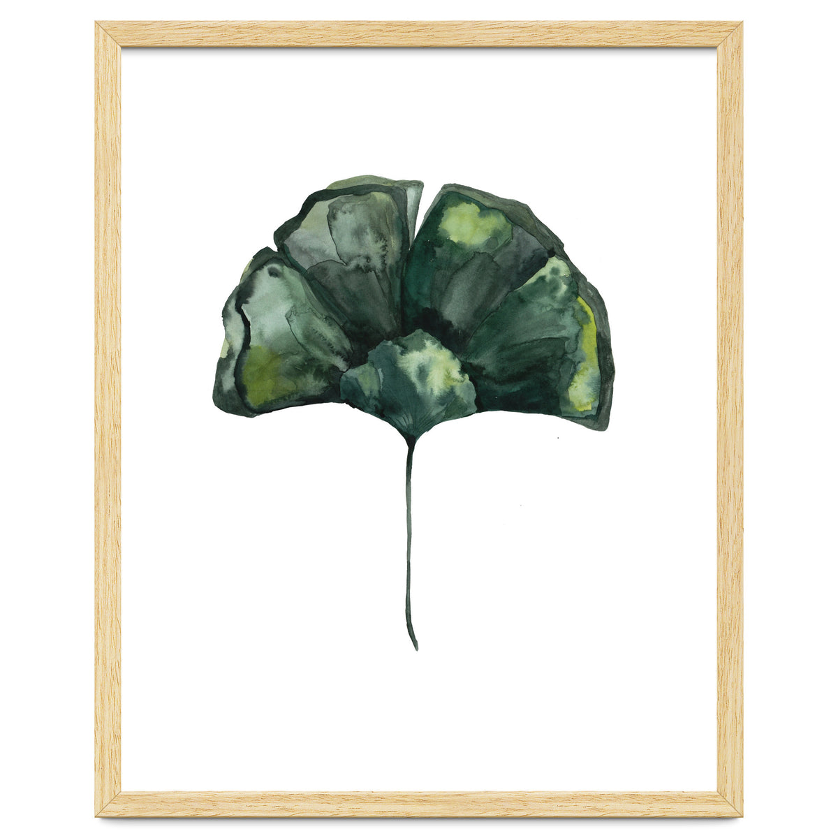 Botanical Illustration Ginko
