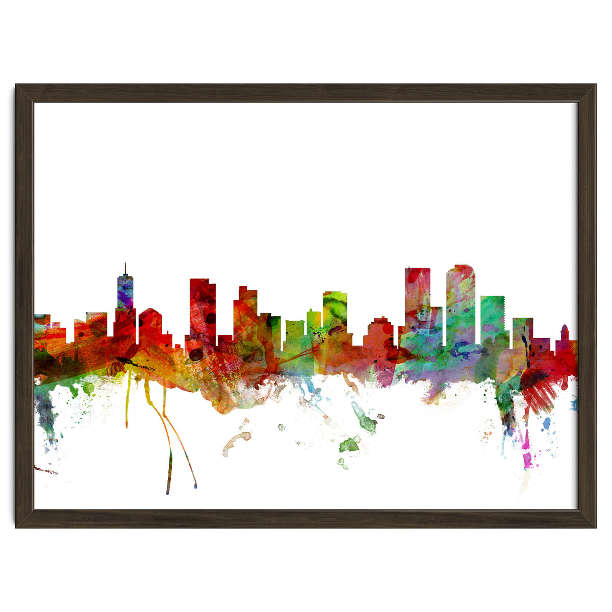 Denver Colorado Skyline