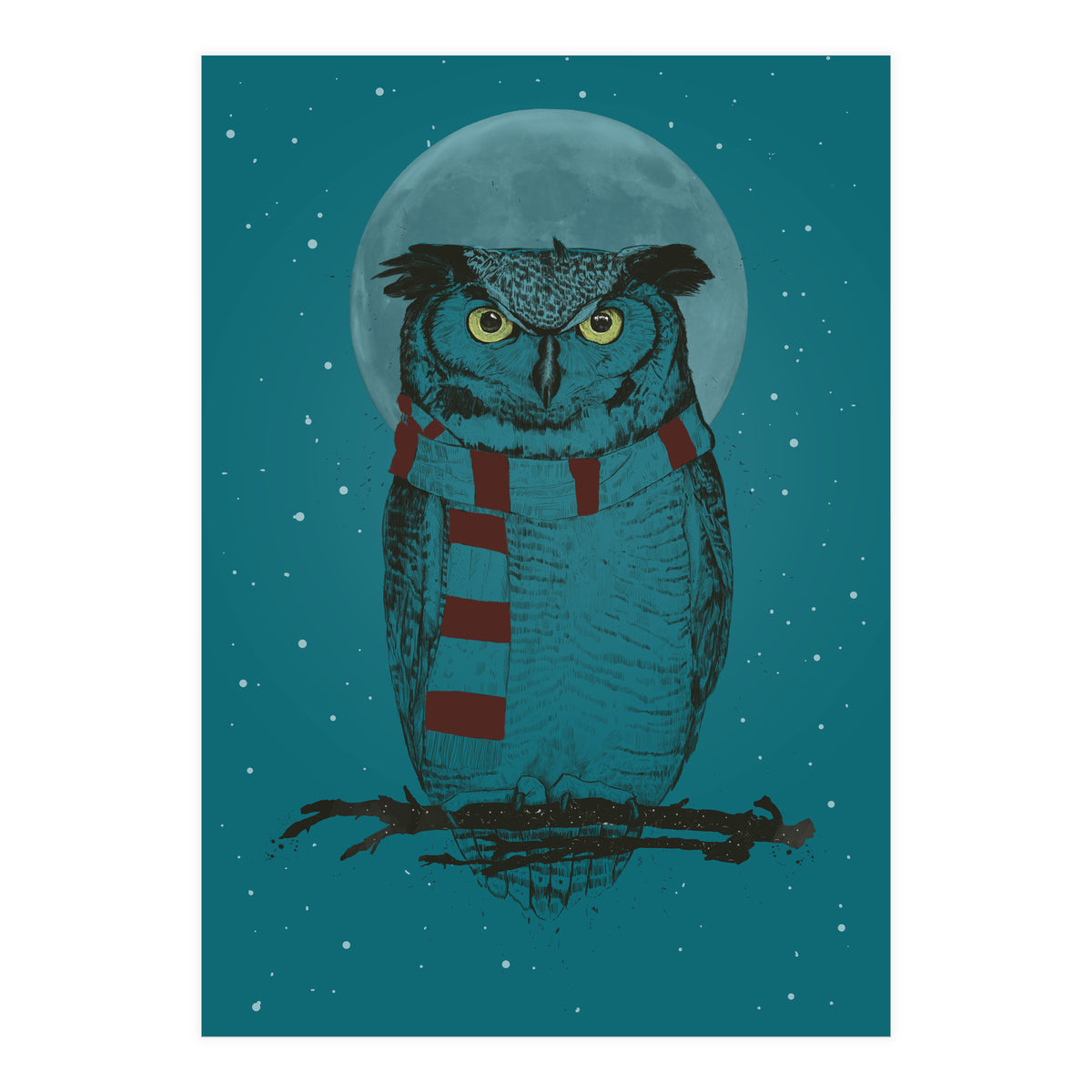 Winter Owl II (Print Only)