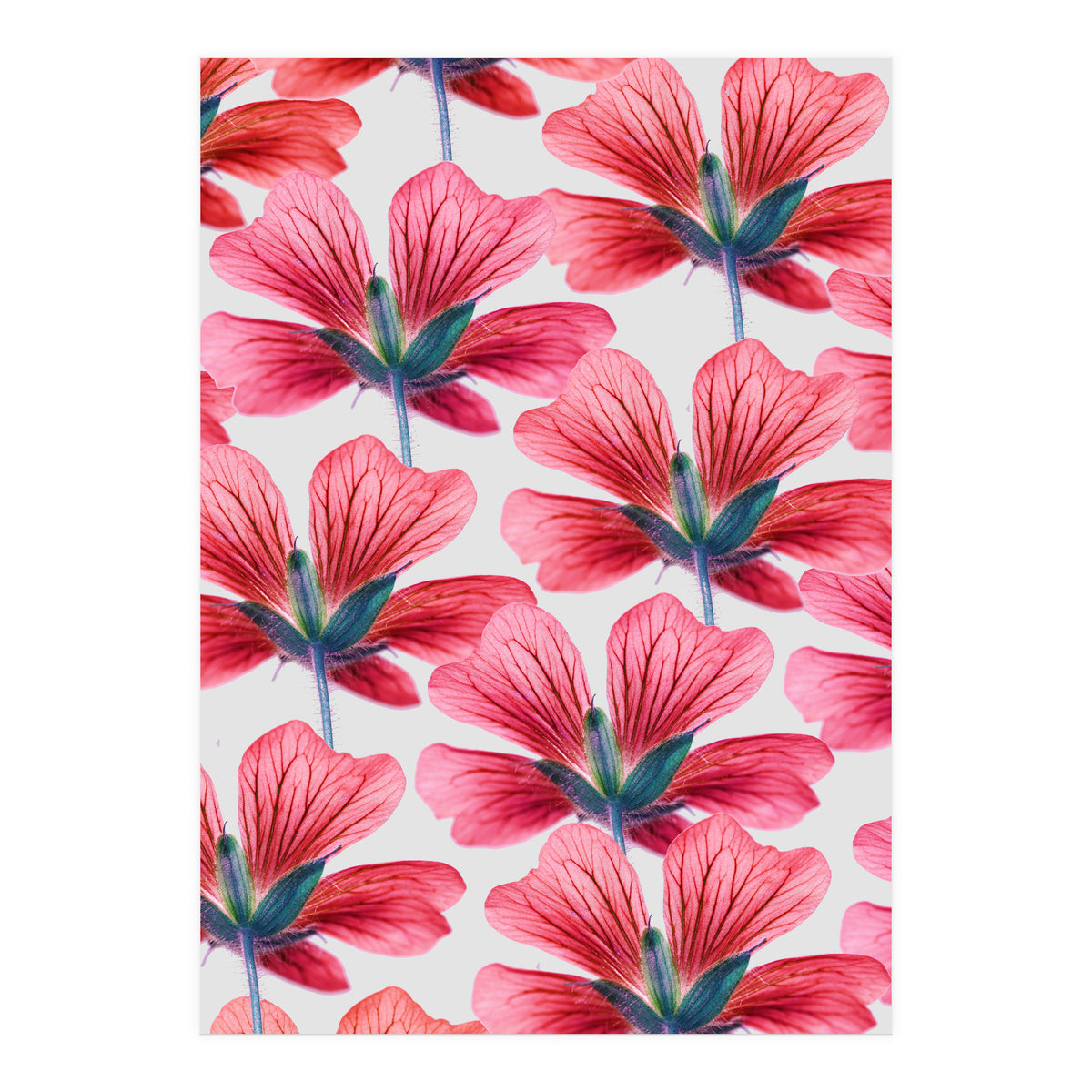 Floral Spirit  (Print Only)