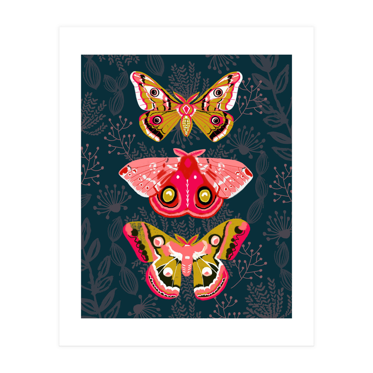 Lepidoptery Study No. 4 (Print Only)