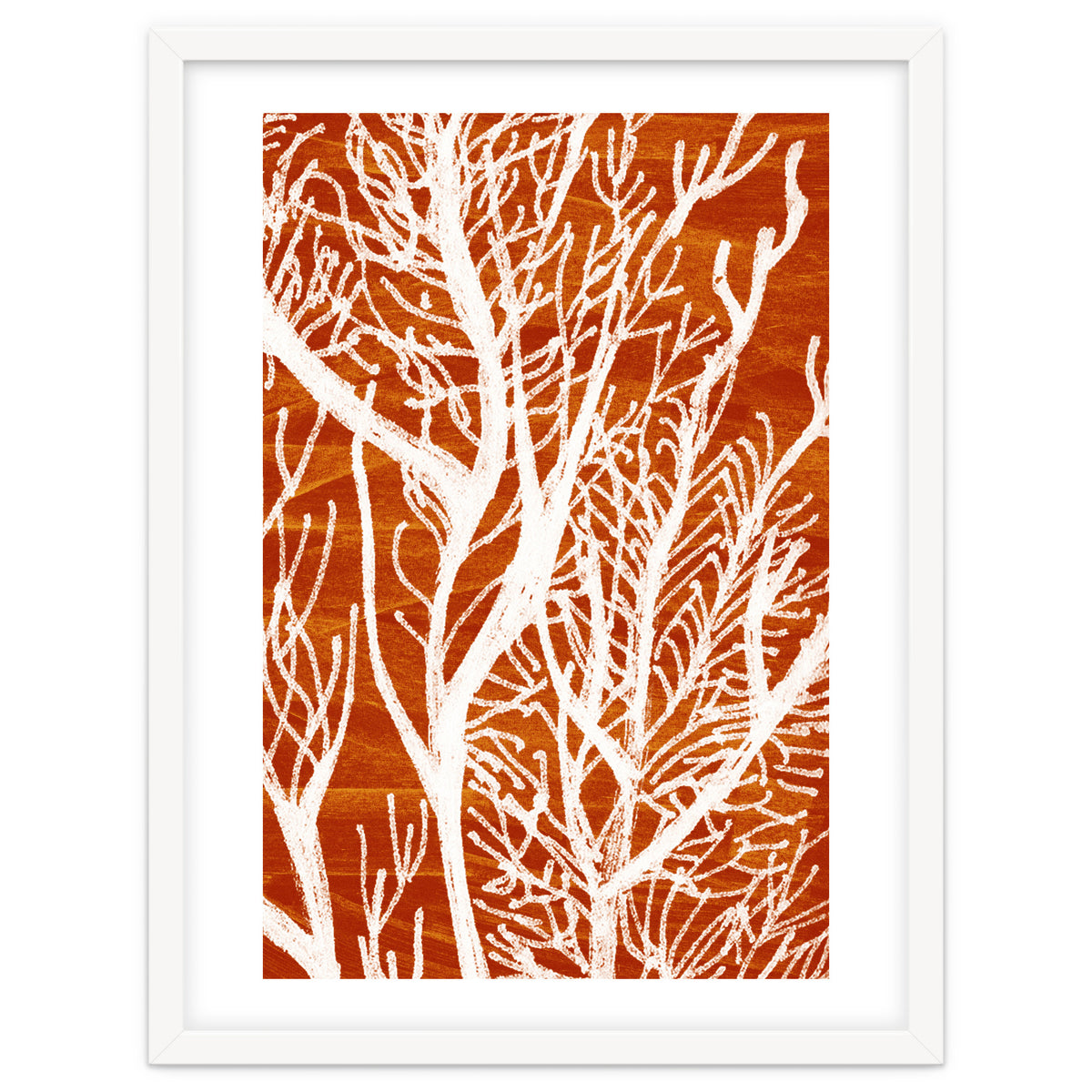 Desert Colours Collection 2