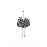 Floral Ostrich (Print Only) thumbnail