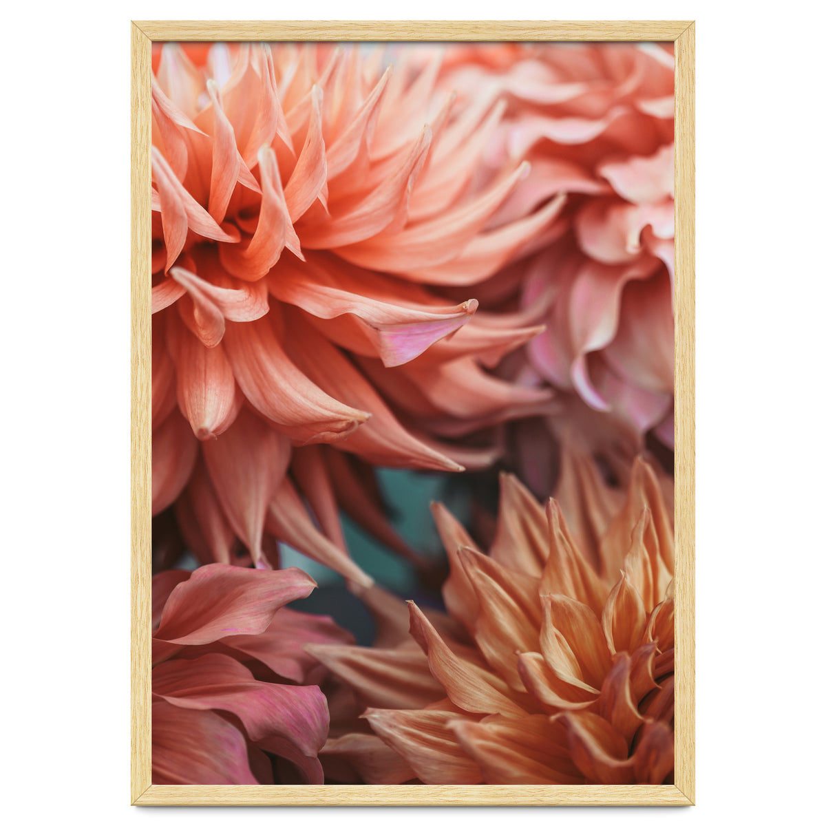 Vintage Dahlia