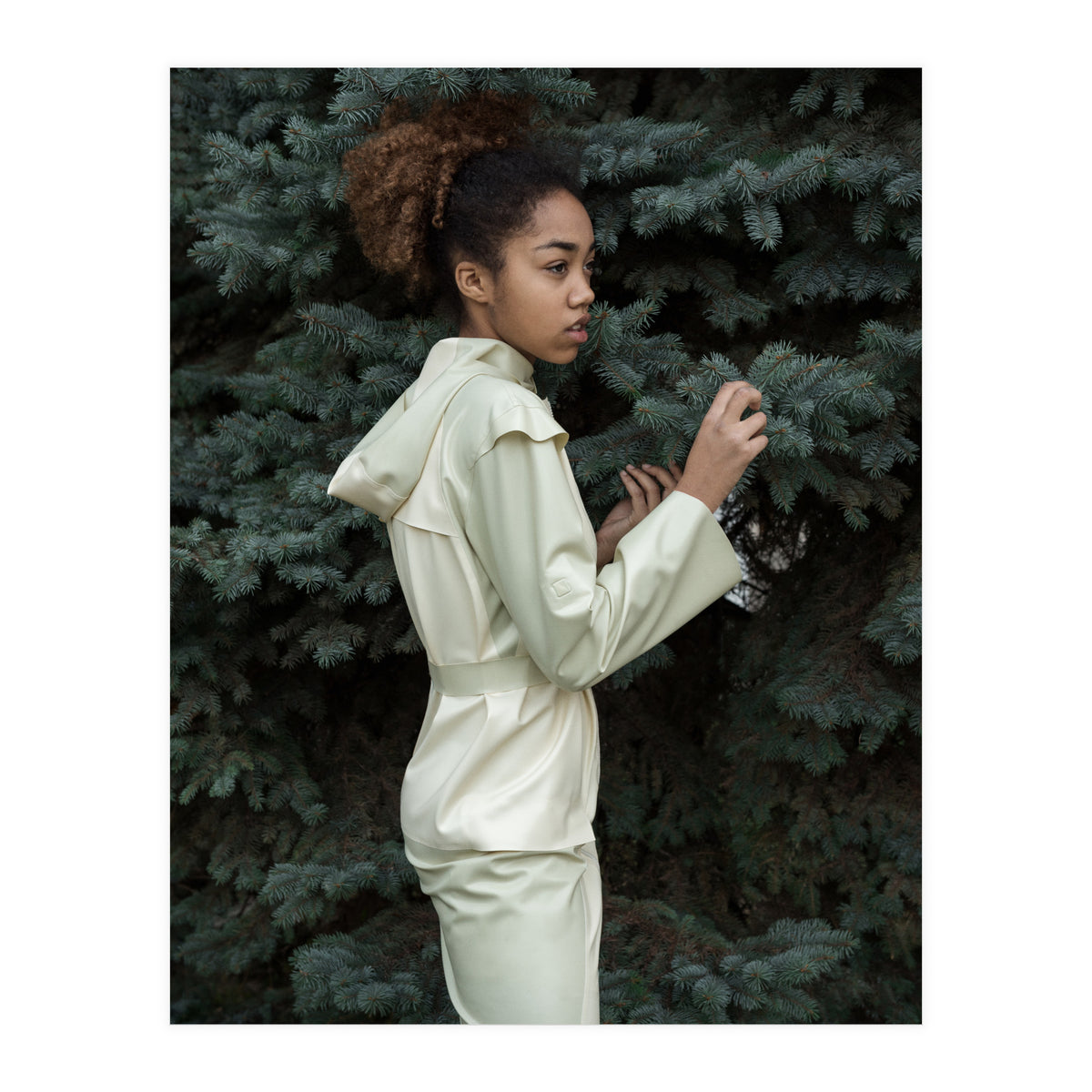 Smooth Confess (Print Only)