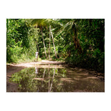 Haitian Bush (Print Only) thumbnail