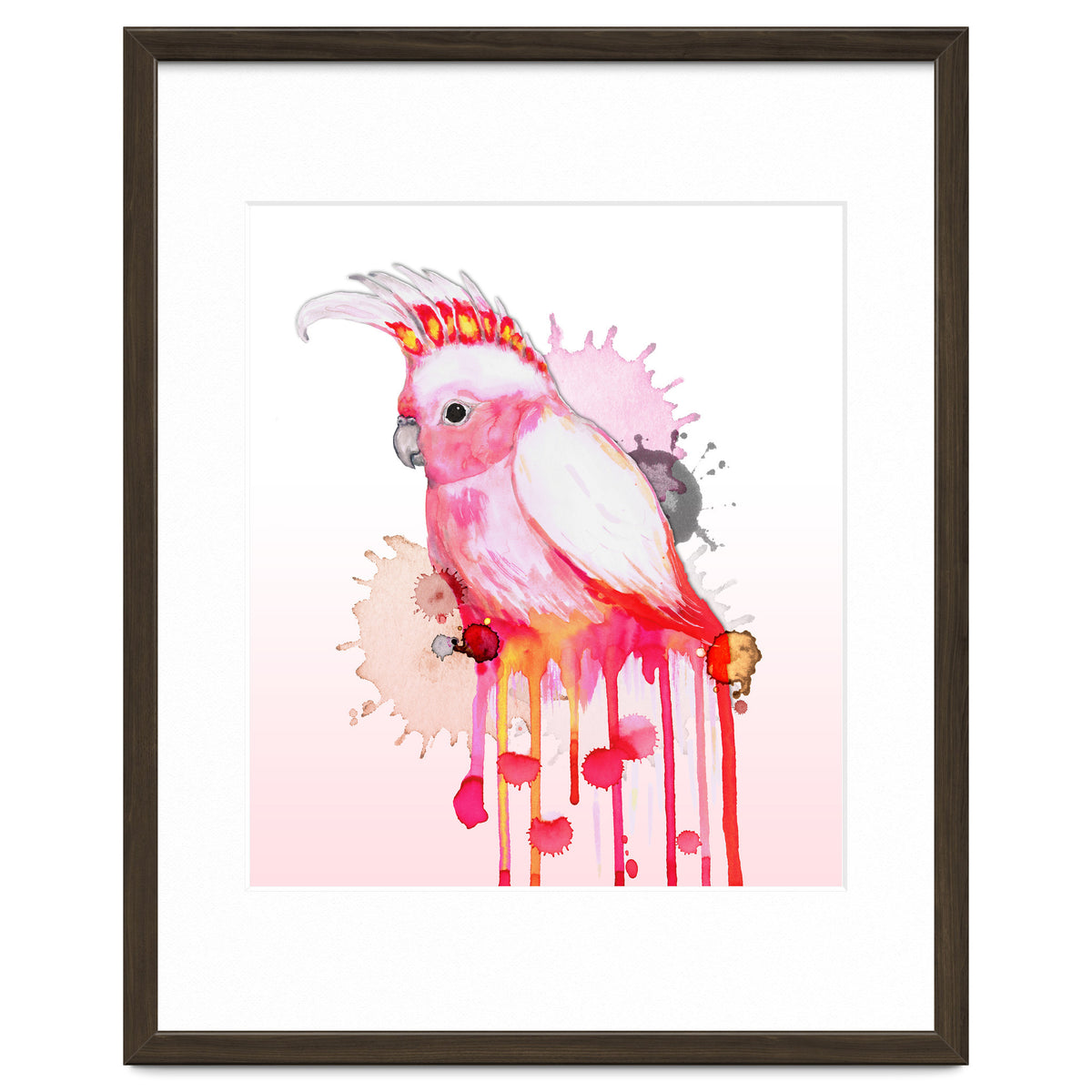 Major Mitchell's cockatoo