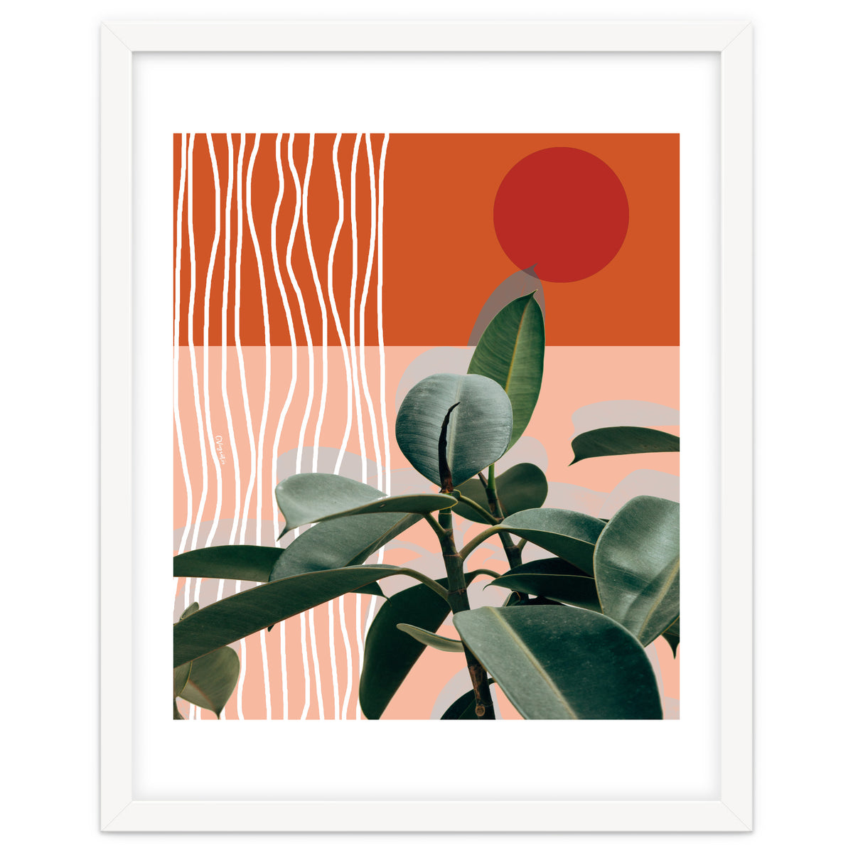 Times of a Growing Plant