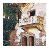 Juliet`s Windows (Print Only) thumbnail