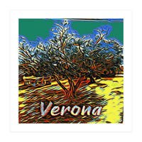 Colorful Olive tree in Verona, Italy. (Print Only)