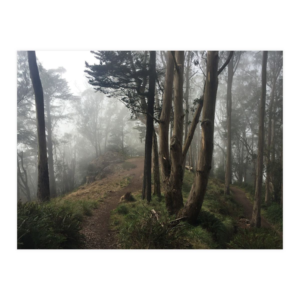 Mt. Davidson II (Print Only)