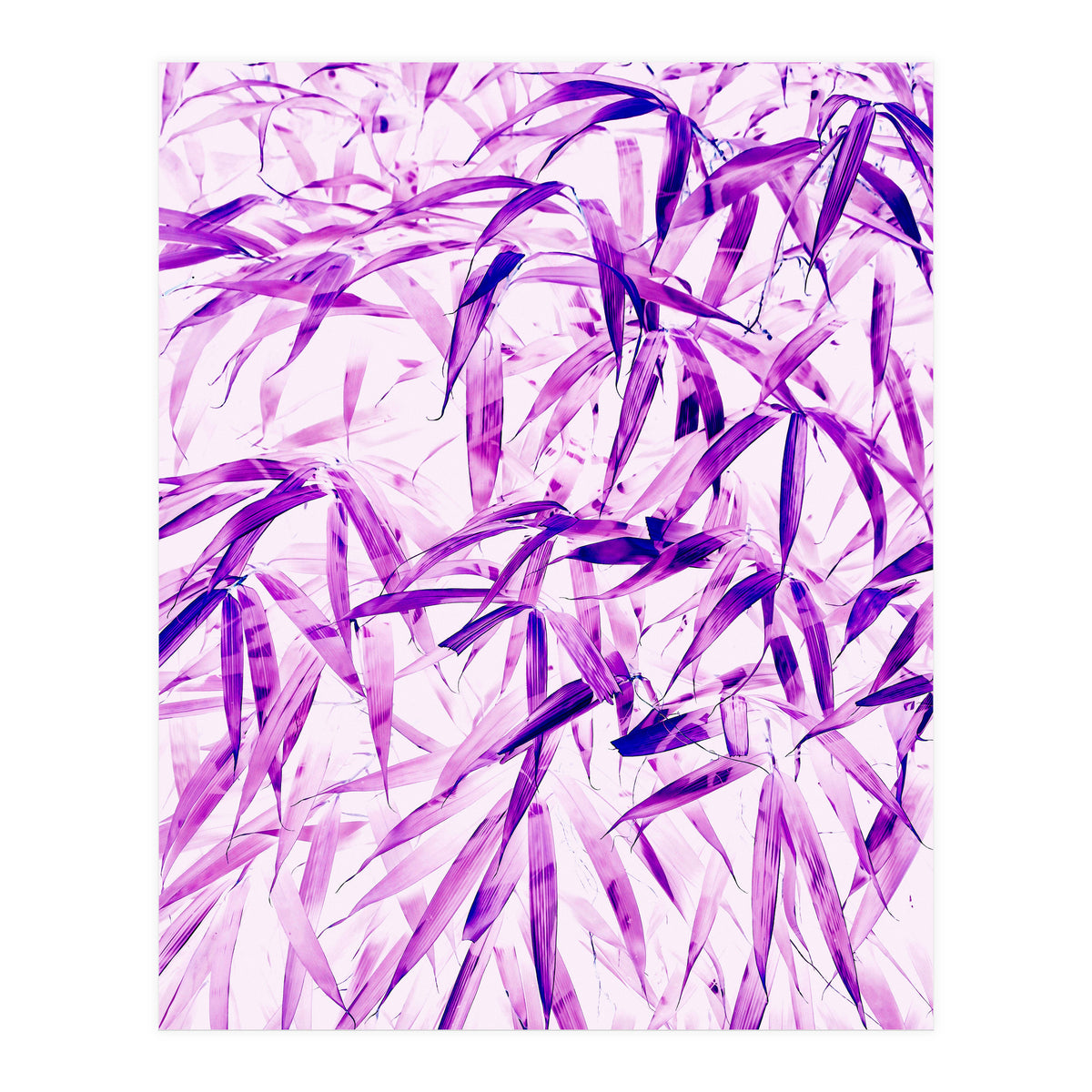 Ultra Violet (Print Only)