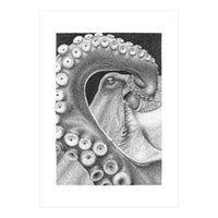 Octopus no. 1 (Print Only)