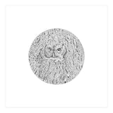 In Plain Sight (Print Only) thumbnail