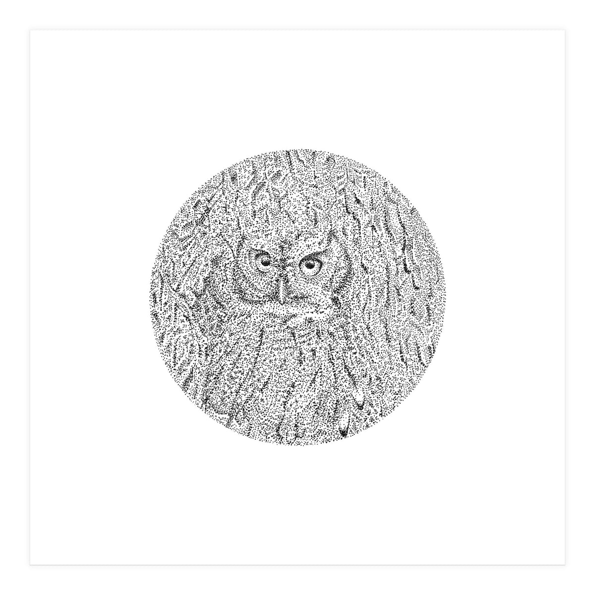 In Plain Sight (Print Only)