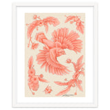 Crockery Print thumbnail