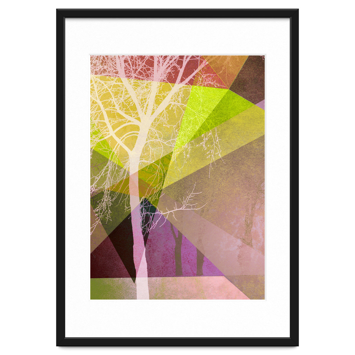 P22 Trees And Triangles