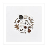 Treasures From Nature No. 2 - Square (Print Only) thumbnail