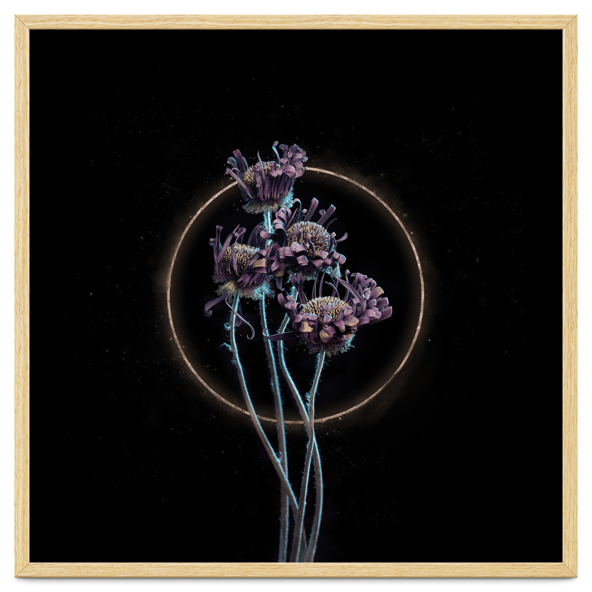 Candy-Coloured Mystery