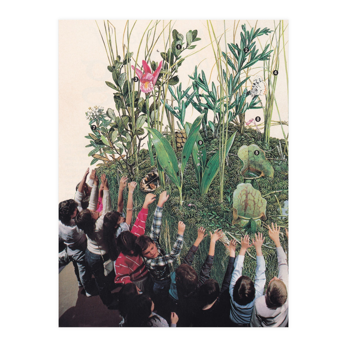 Grow Up (Print Only)