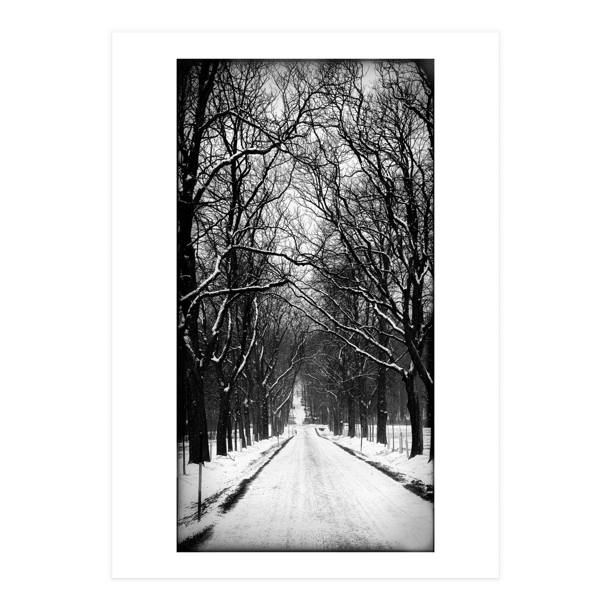 Winterly alley (Print Only)