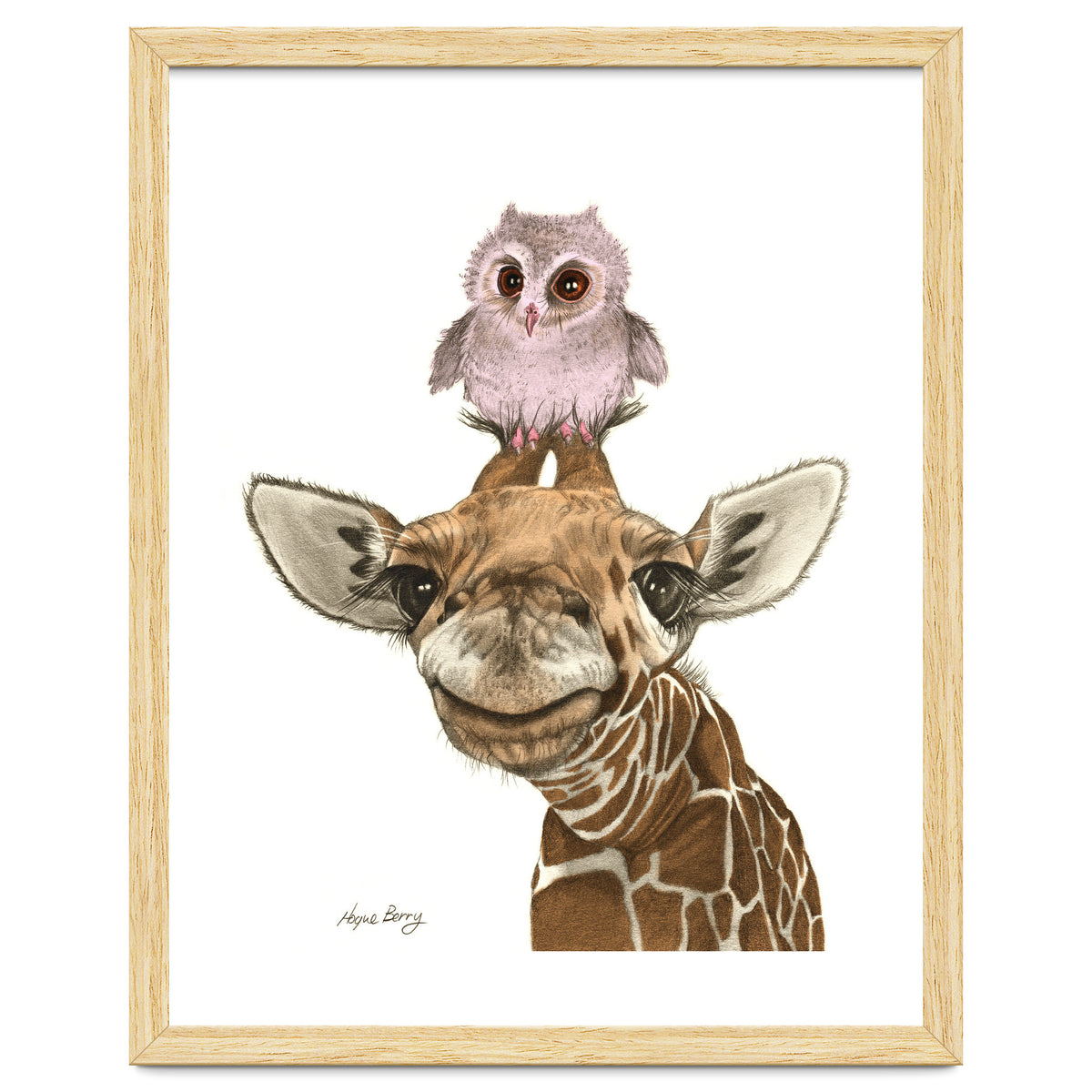 Giraffe and Owl