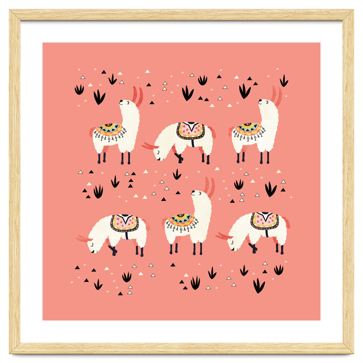White Llamas In Pink Desert