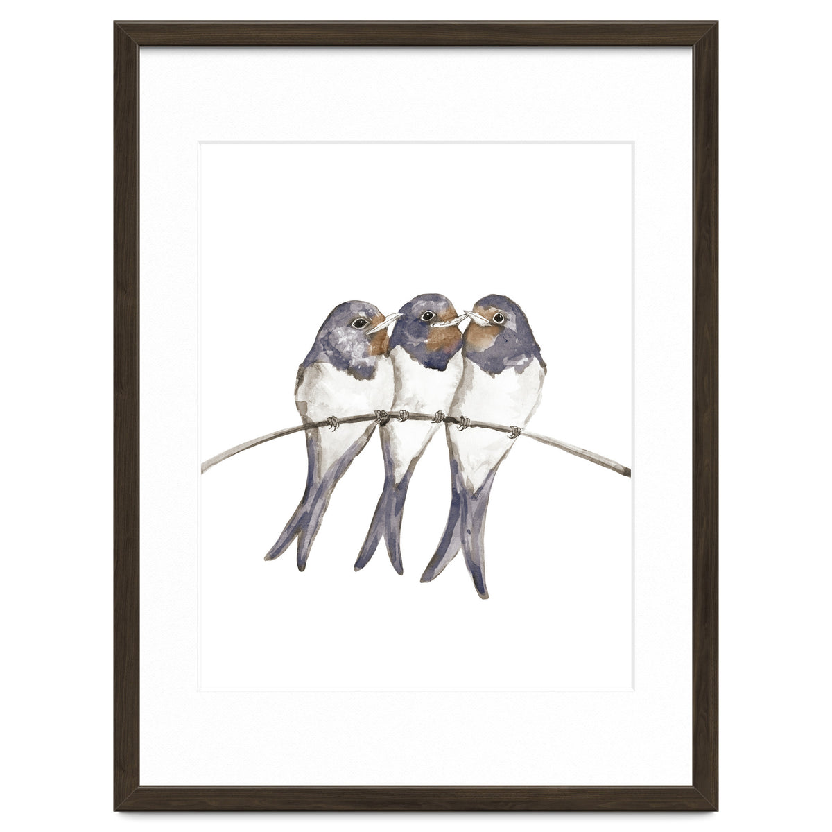 Three young swallows