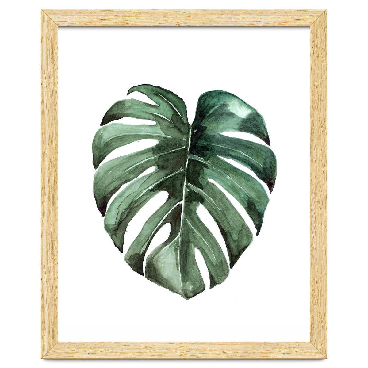 Botanical Illustration Monstera Deliciosa