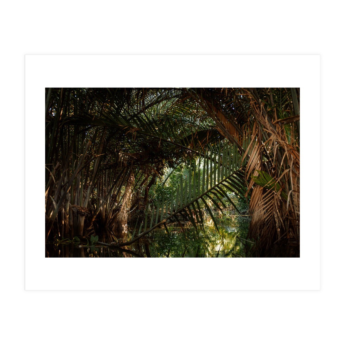 Exploring Vietnam (Print Only)