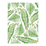 Ferna (Print Only) thumbnail