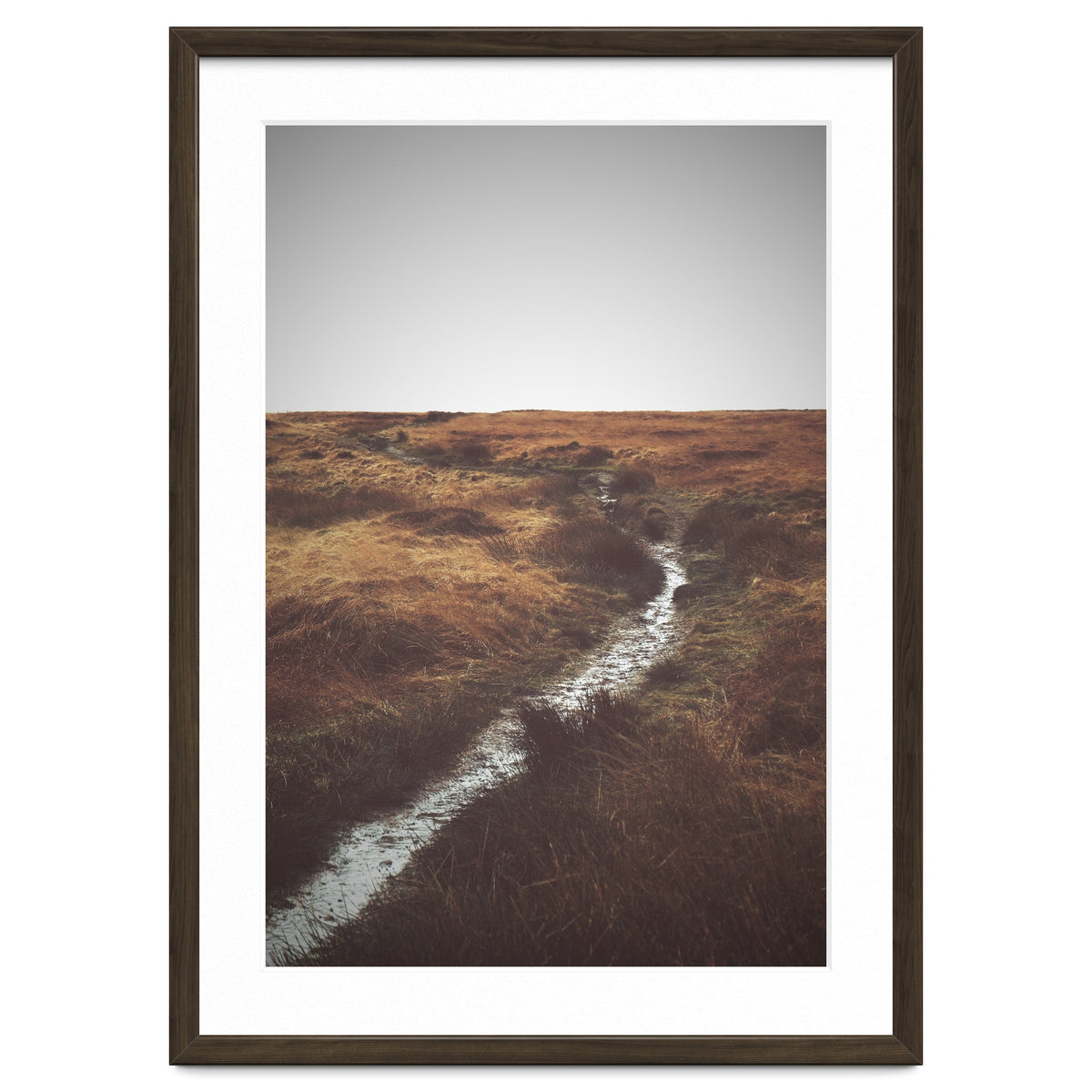 Bleak winter landscape of Saddleworth Moor
