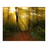 Nature (Print Only) thumbnail