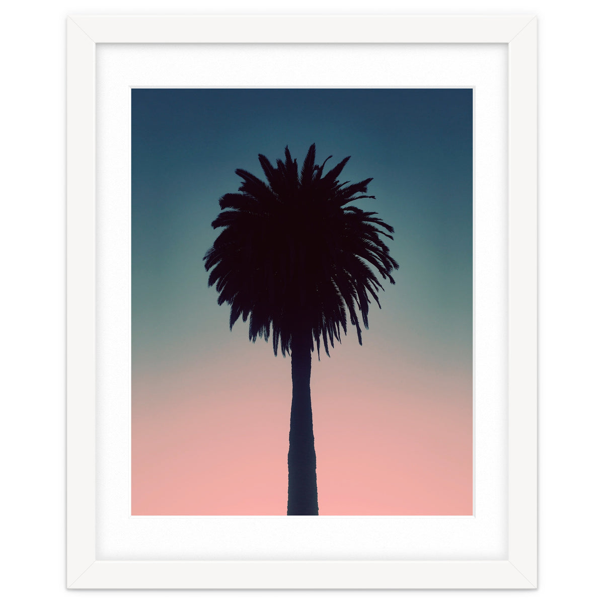 Sundown Palm