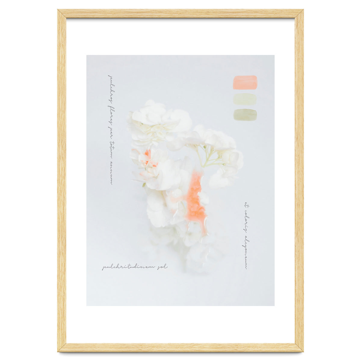 Modern Vintage Botanic