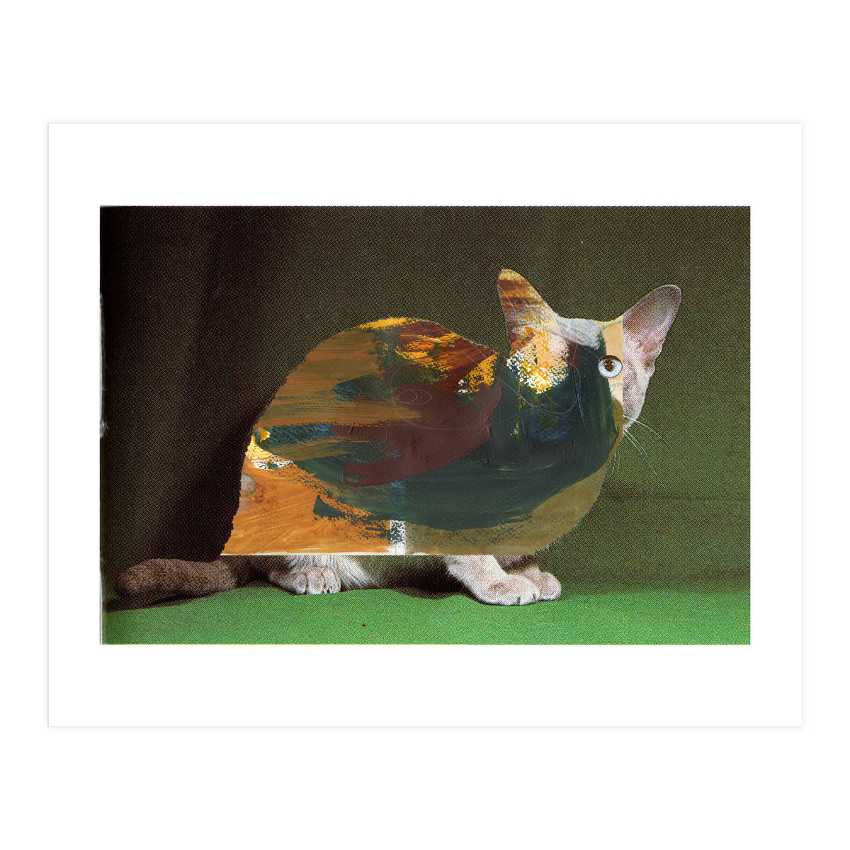 Color Cat (Print Only)