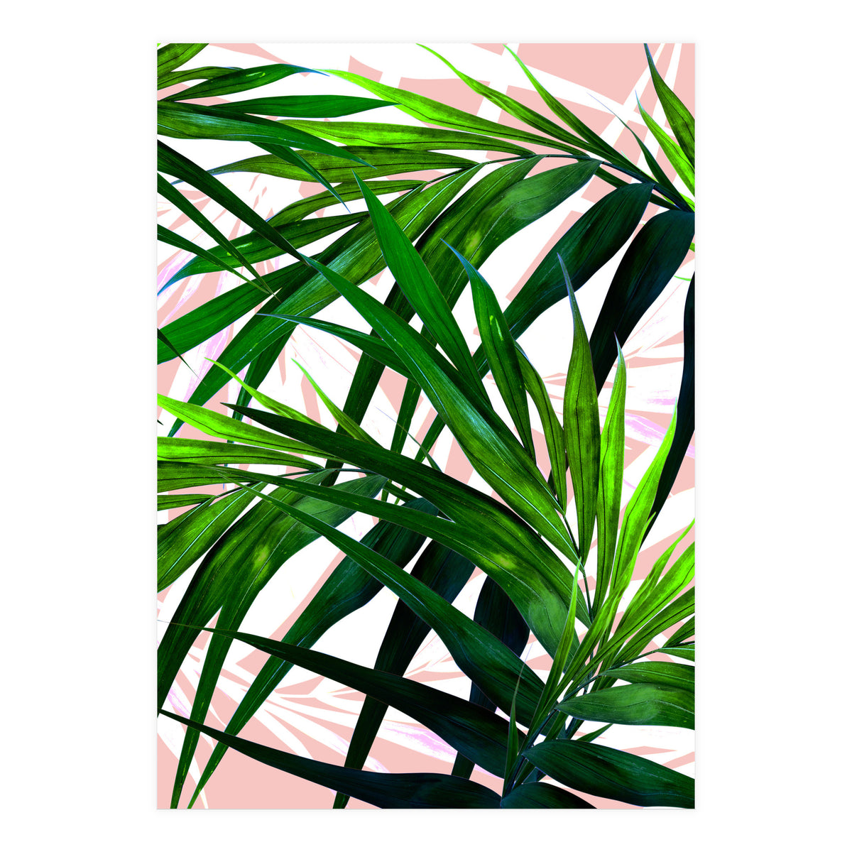 Dream paradise  (Print Only)