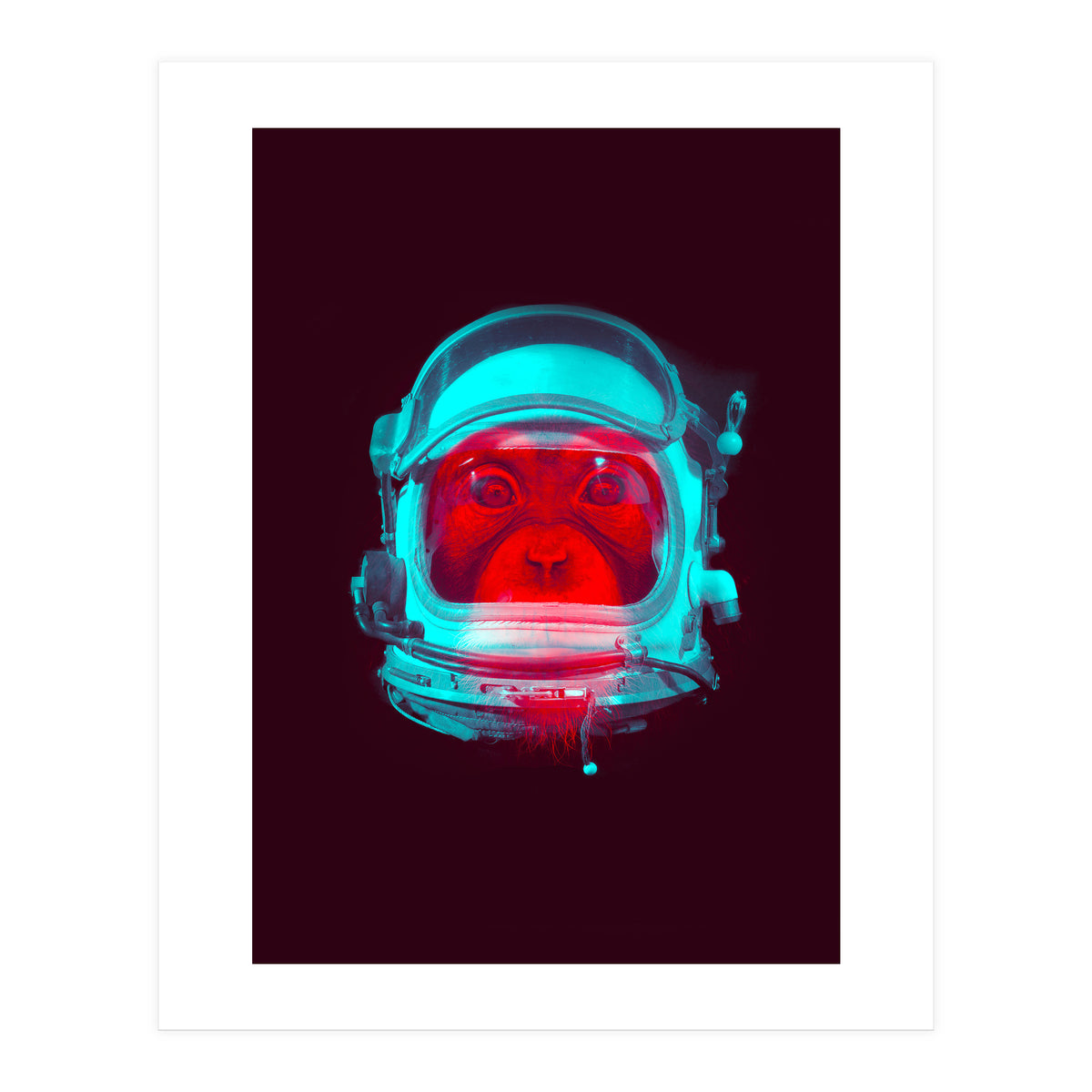 Astronaut (Print Only)