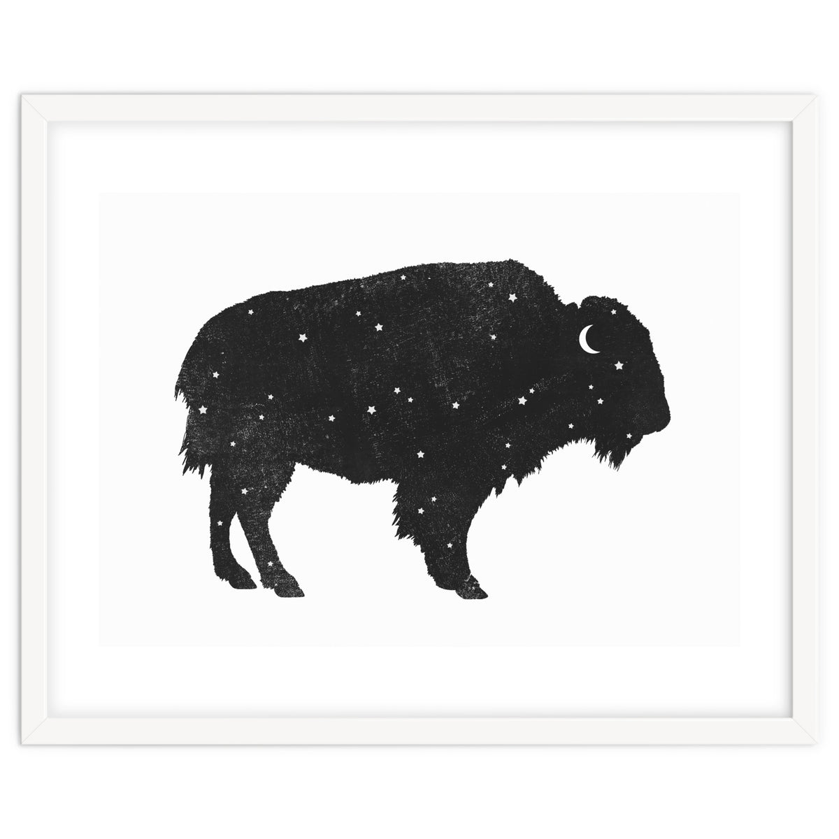 Mystic Buffalo