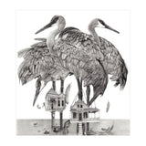 Crane Houses (Print Only) thumbnail