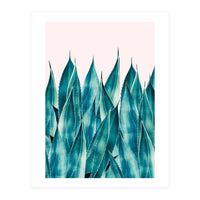 Summer Agave (Print Only)